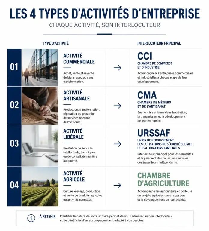 Tableau comparatif des activités entreprises et statuts juridiques